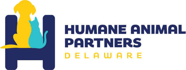 Organization's Logo