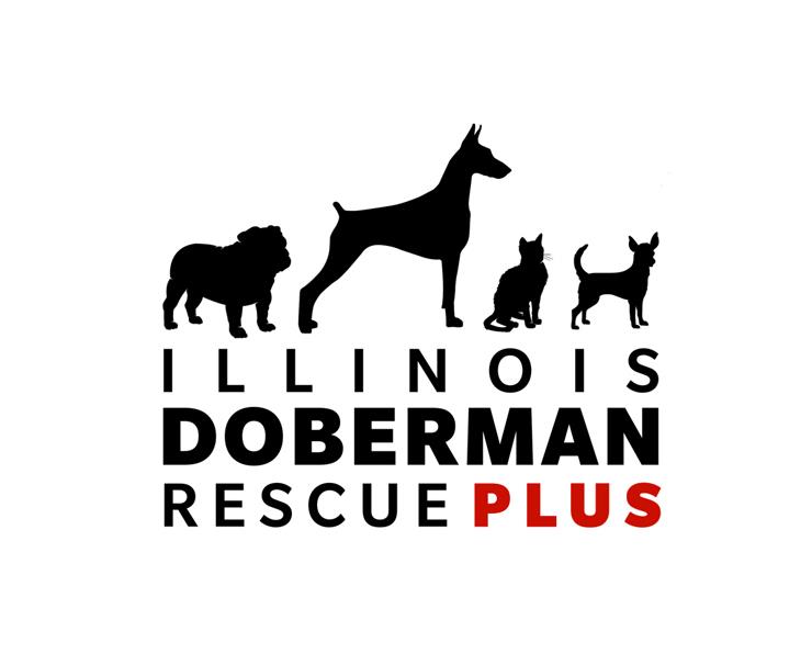 Logo for Illinois Doberman Rescue