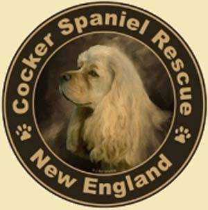Logo for Cocker Spaniel Rescue Of New England