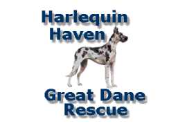 Logo for Harlequin Haven Great Dane Rescue