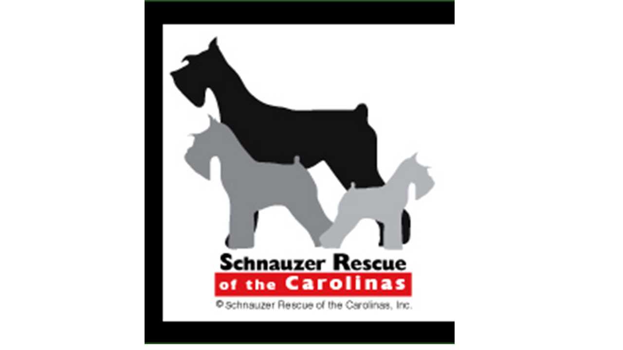 Logo for Schnauzer Rescue of the  Carolinas 