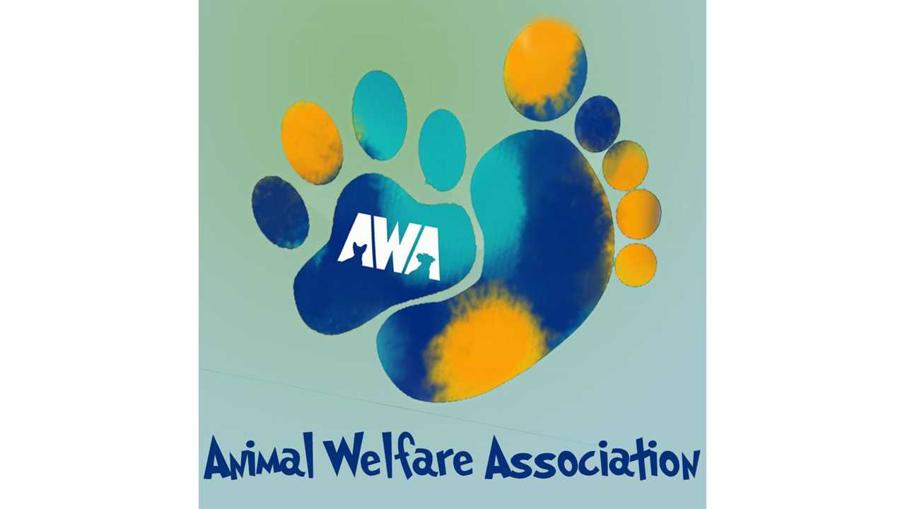 Logo for Animal Welfare Association