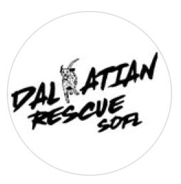 Organization's Logo