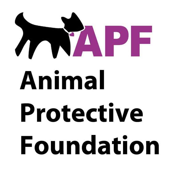 Logo for Animal Protective Foundation