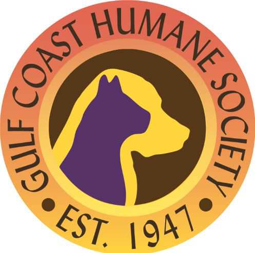 Organization's Logo