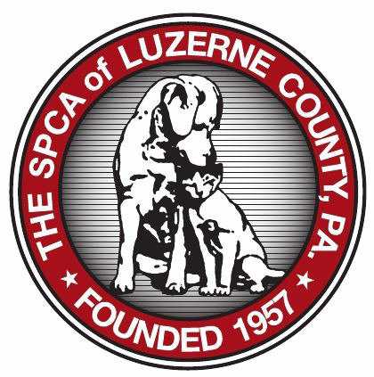 Organization's Logo