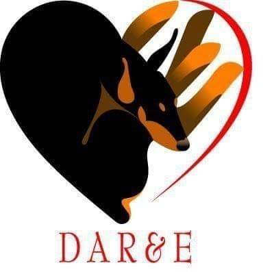 Logo for Doberman Assistance Rescue & Education