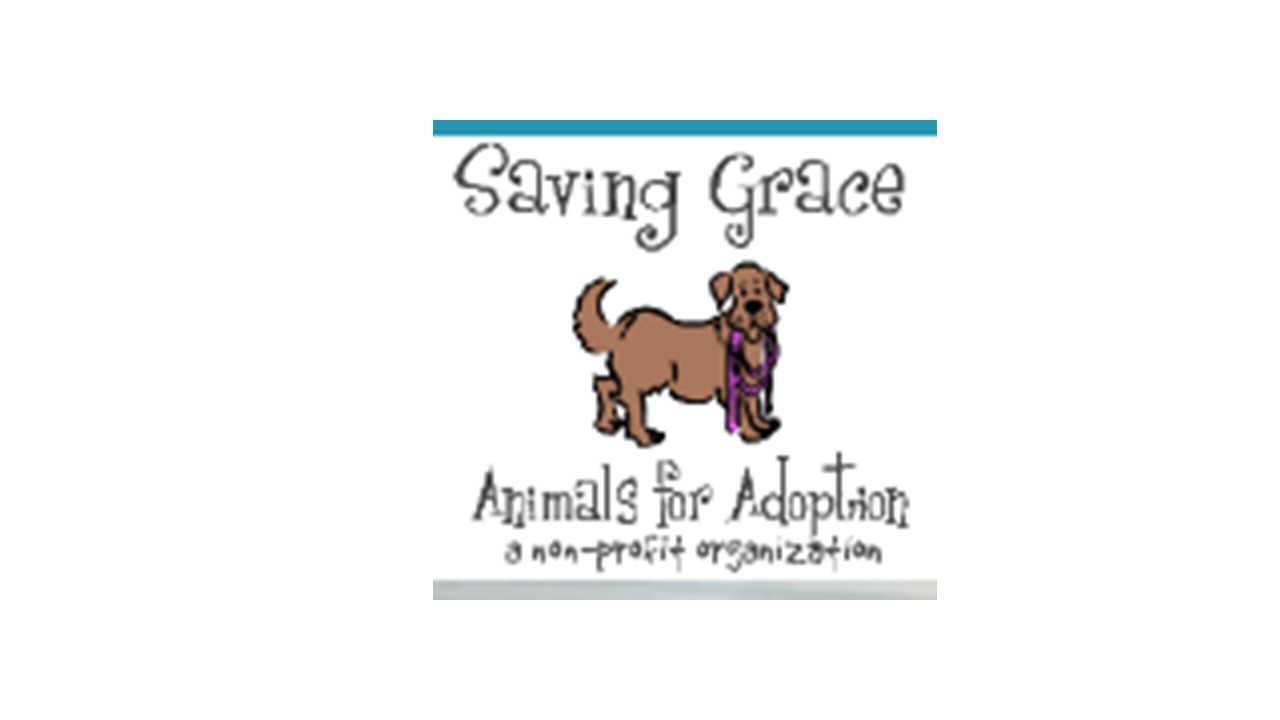 Logo for Saving Grace Animals For Adoption
