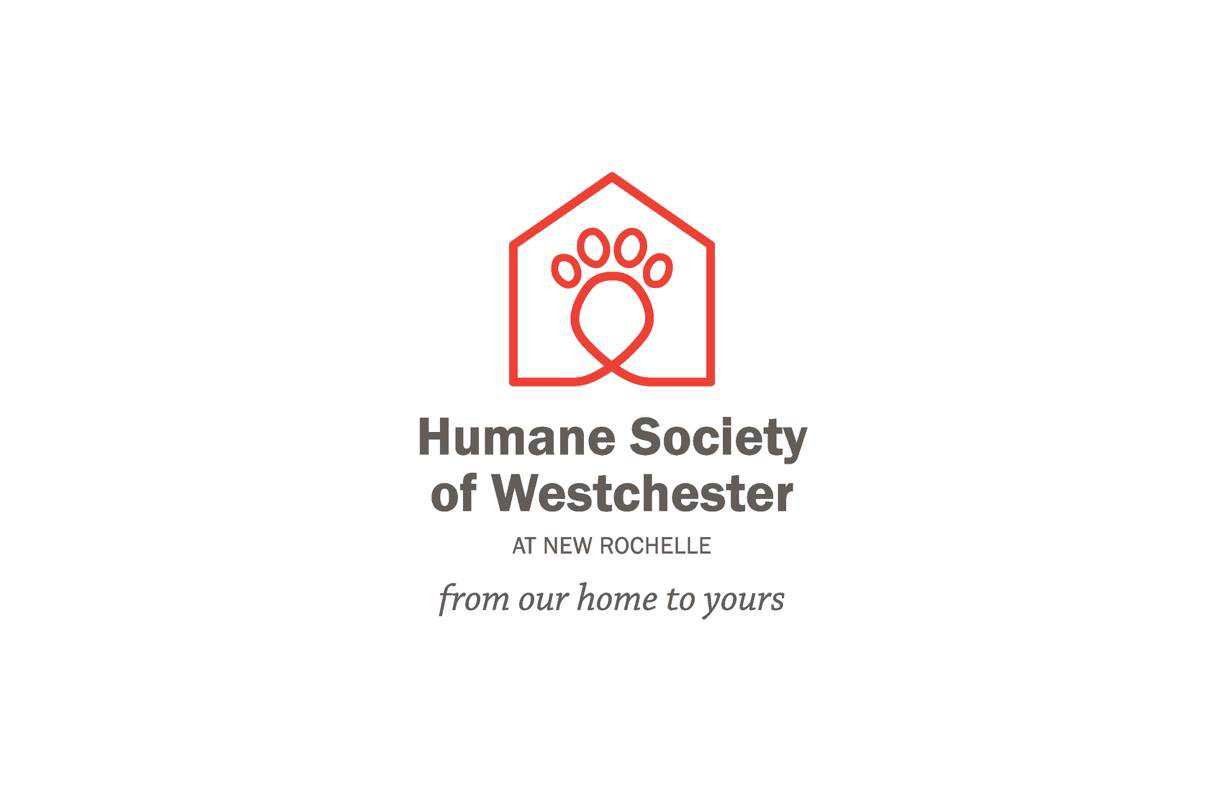 Organization's Logo