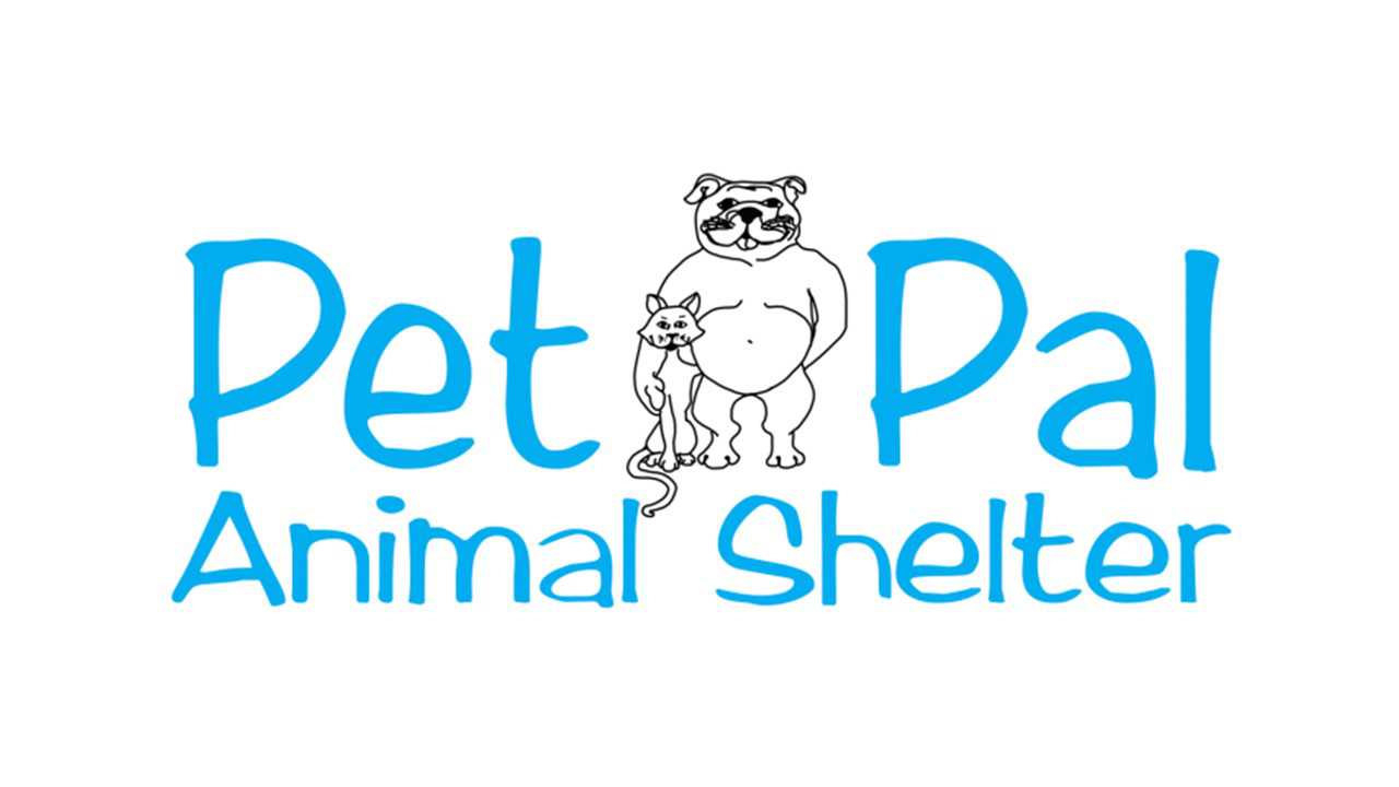 Donate to Pet Pal Animal Shelter | Kuranda ShelterBeds