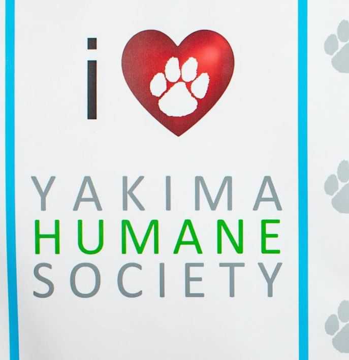 Organization's Logo