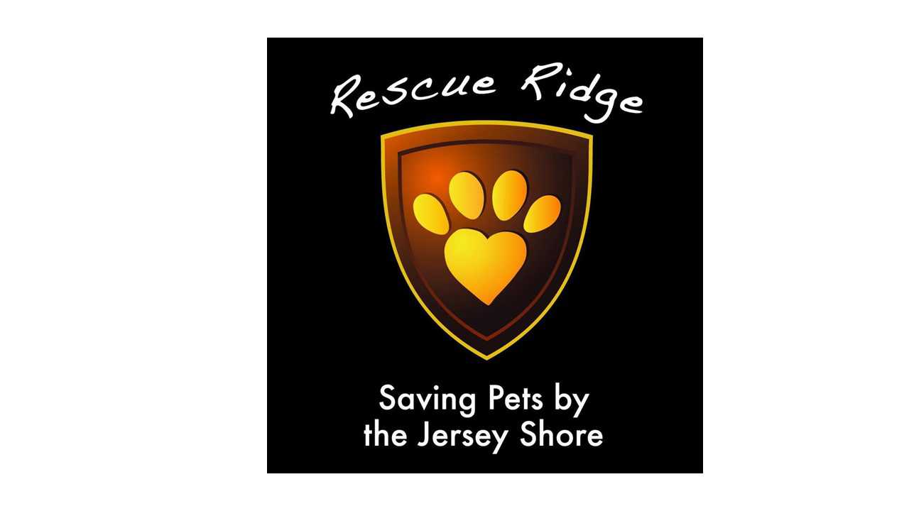 Logo for Rescue Ridge