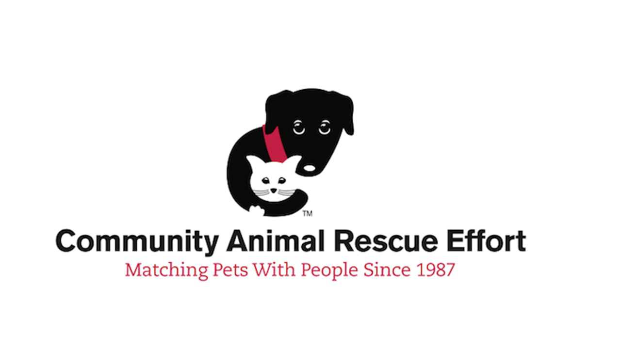 Logo for Community Animal Rescue Effort
