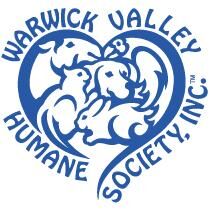 Organization's Logo