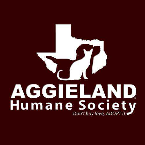 Organization's Logo