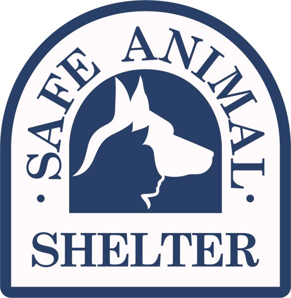 Organization's Logo