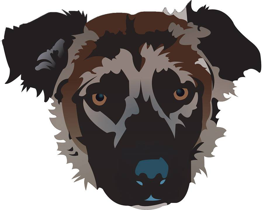 Logo for The Simon Foundation