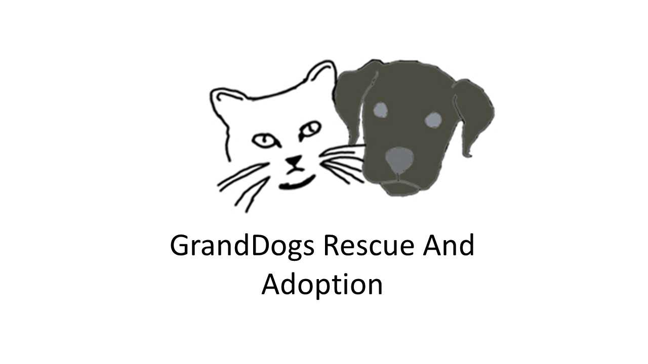 Logo for GrandDogs Rescue And Adoption