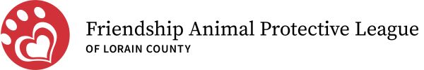 Organization's Logo