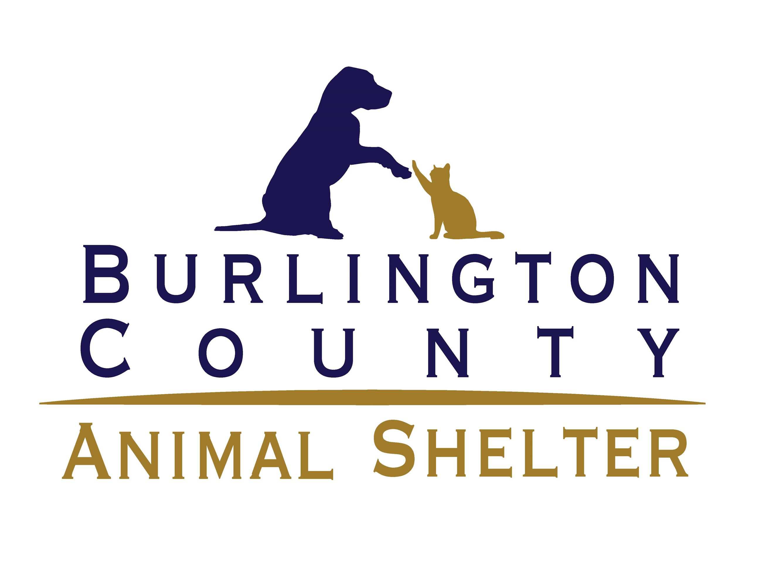 Logo for Burlington County Animal Shelter