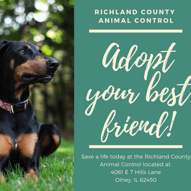 Logo for Richland County Animal Control