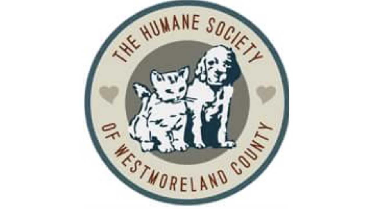 Organization's Logo
