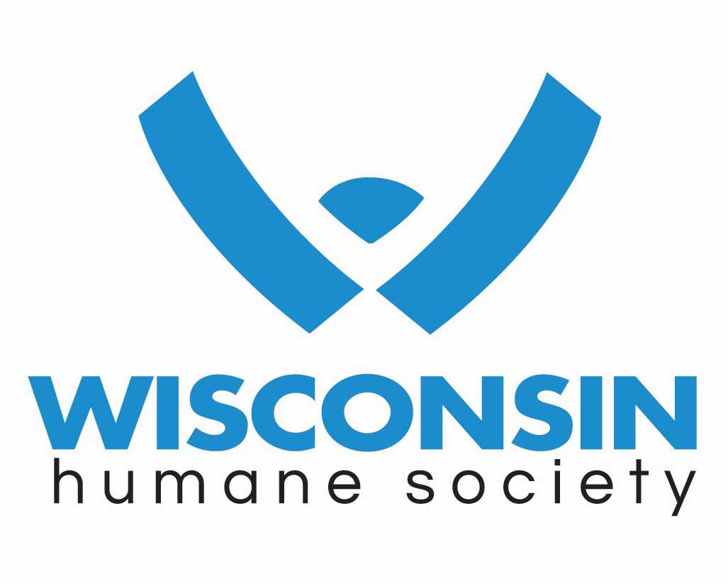 Organization's Logo