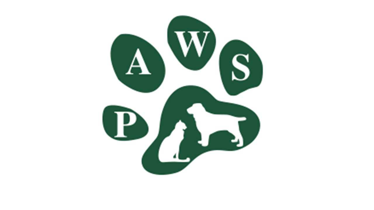 Organization's Logo