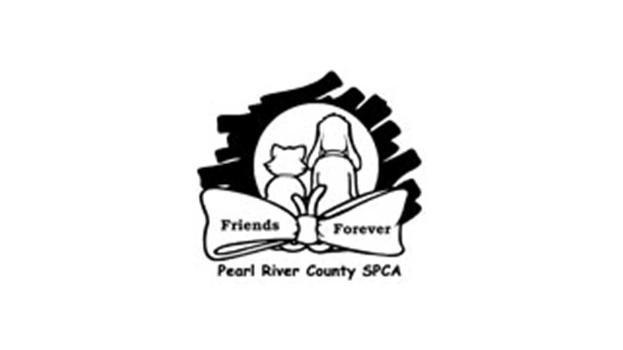 Organization's Logo