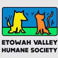 Organization's Logo