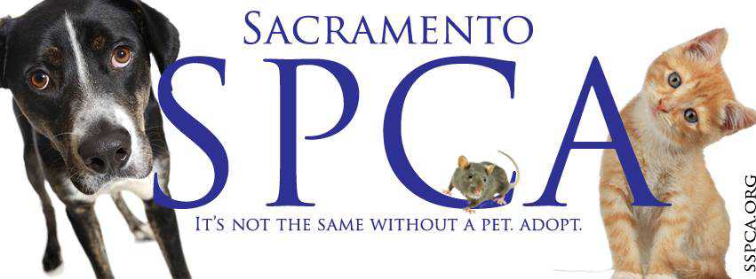 Organization's Logo