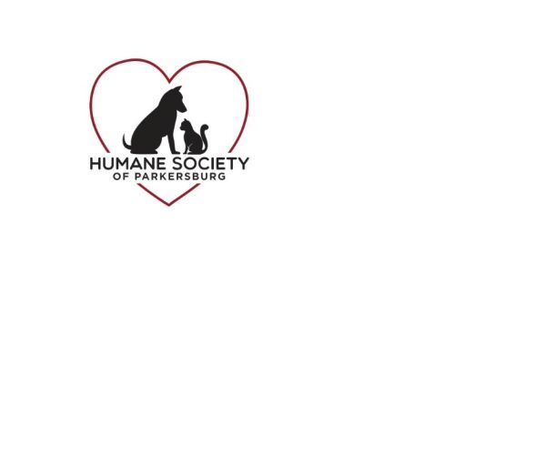 Organization's Logo