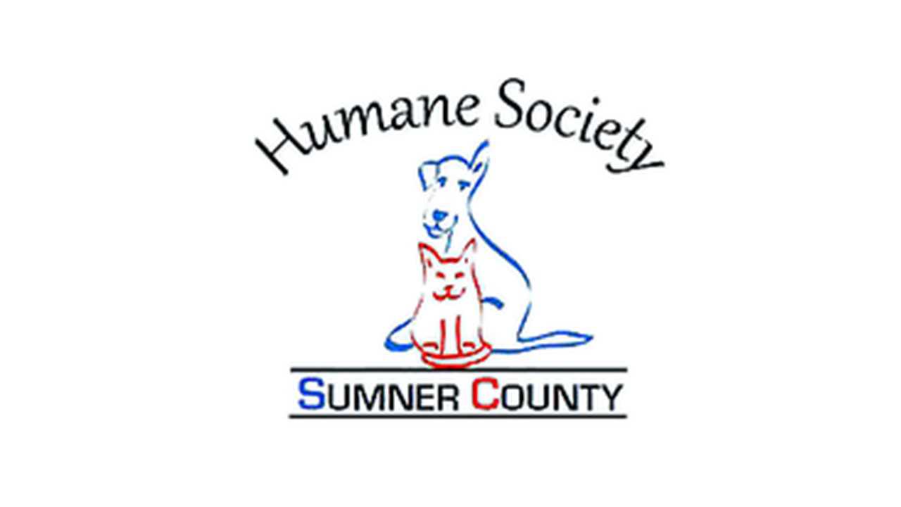 Organization's Logo