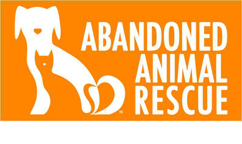 Organization's Logo