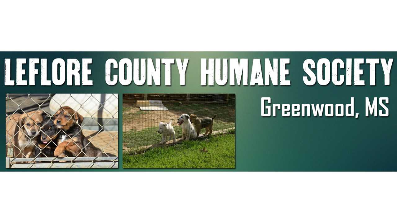 Logo for Leflore County Humane Society