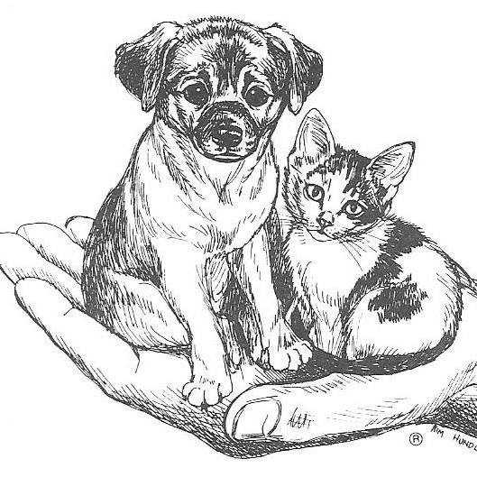 Logo for Cheboygan County Humane Society