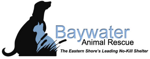 Logo for Baywater Animal Rescue