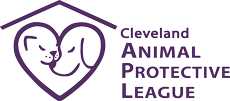 Organization's Logo