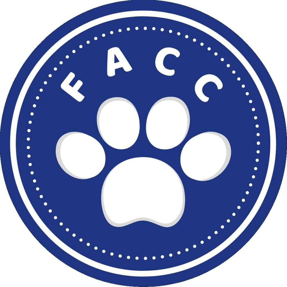 Organization's Logo