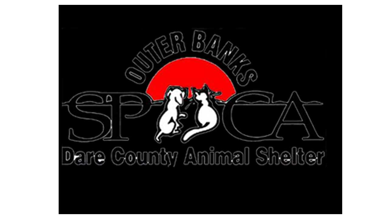 Organization's Logo