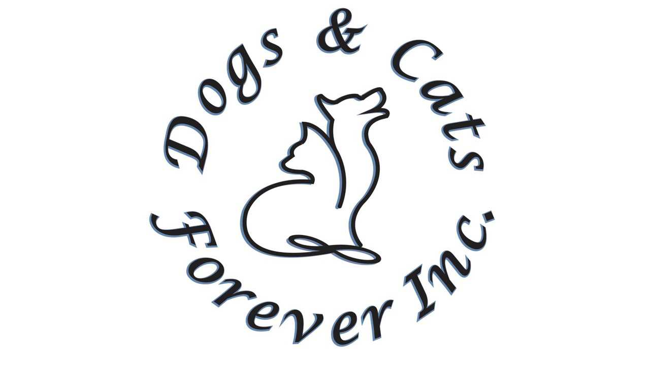 Logo for Dogs & Cats Forever 