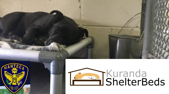 Logo for Manteca Animal Shelter