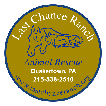 Logo for Last Chance Ranch Equine Rescue