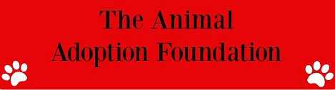 Logo for Animal Adoption Foundation