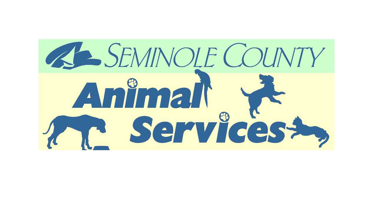 Organization's Logo