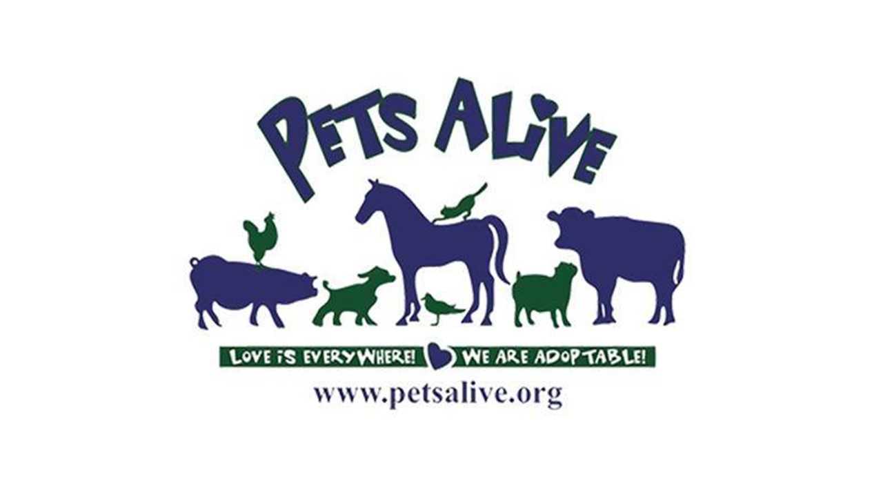 Logo for Pets Alive