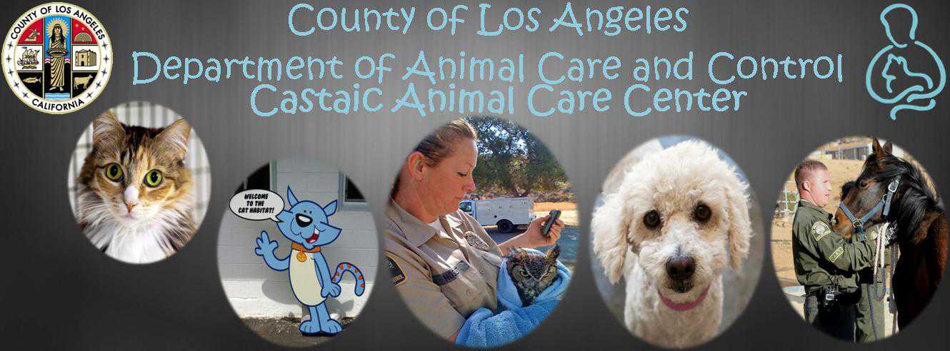 Logo for Castaic Animal Shelter