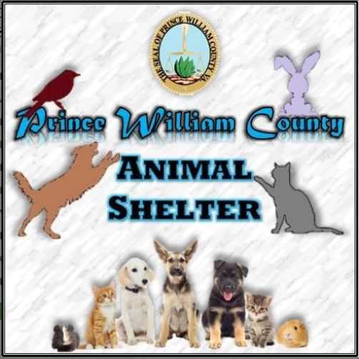 Logo for Prince William County Animal Shelter