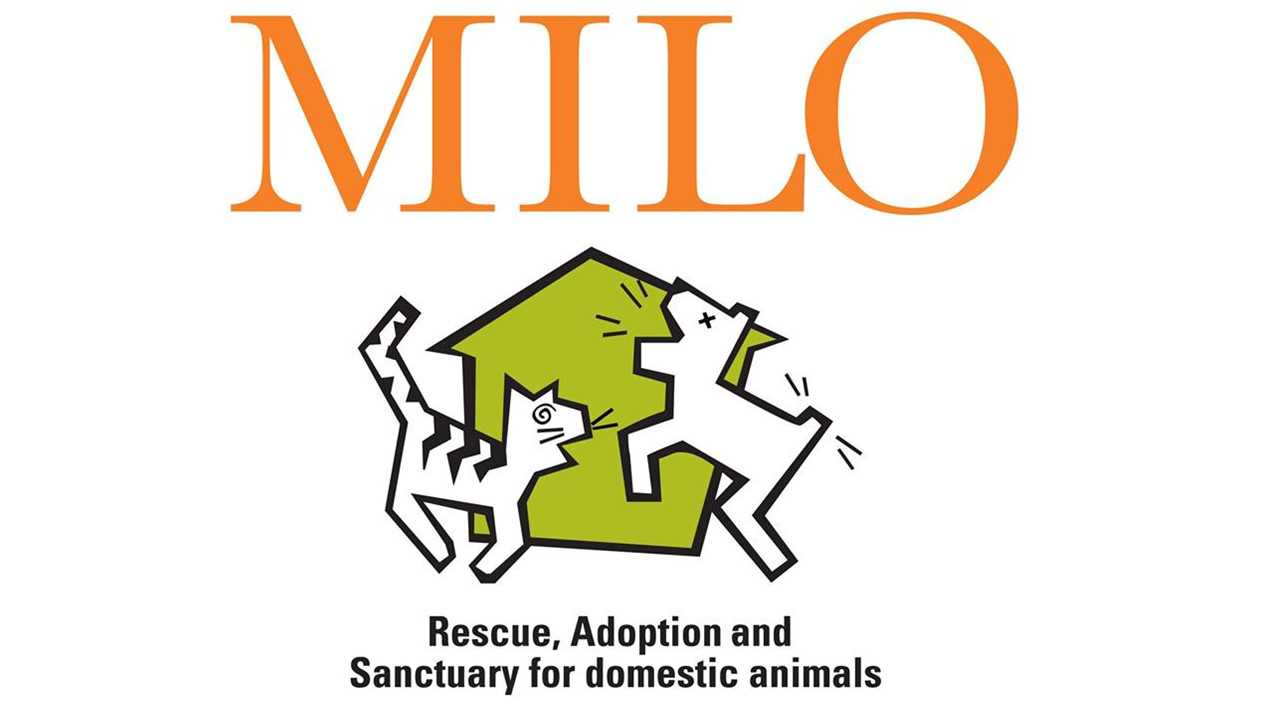 Logo for Milo Foundation