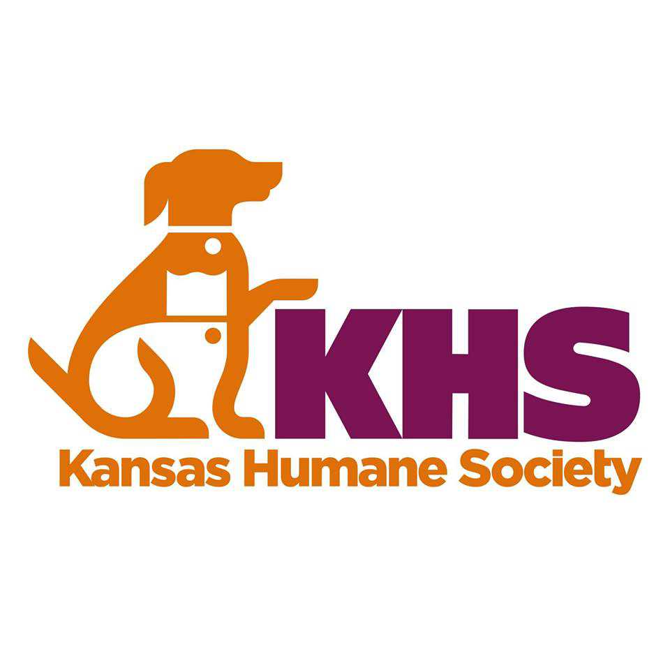 Organization's Logo